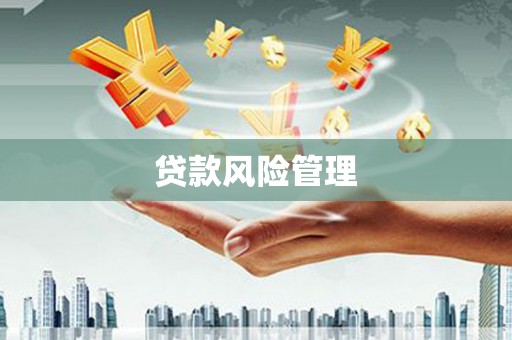 玛纳斯贷款风险管理