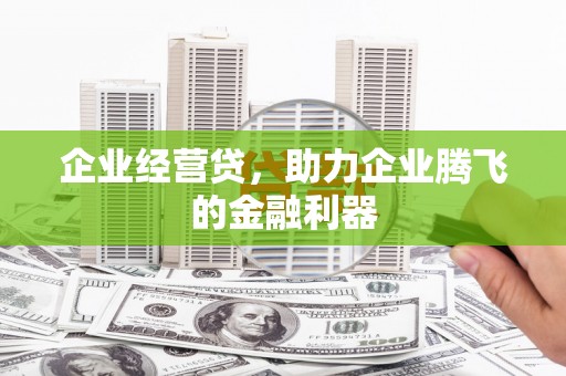 玛纳斯企业经营贷，助力企业腾飞的金融利器