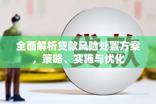 玛纳斯全面解析贷款风险处置方案，策略、实施与优化
