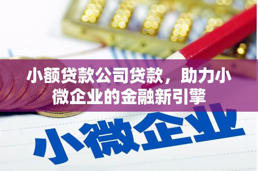 玛纳斯小额贷款公司贷款，助力小微企业的金融新引擎