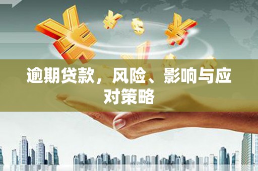 玛纳斯逾期贷款，风险、影响与应对策略