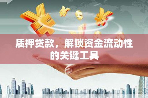 玛纳斯质押贷款，解锁资金流动性的关键工具