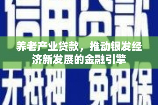 玛纳斯养老产业贷款，推动银发经济新发展的金融引擎