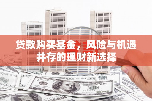 玛纳斯贷款购买基金，风险与机遇并存的理财新选择