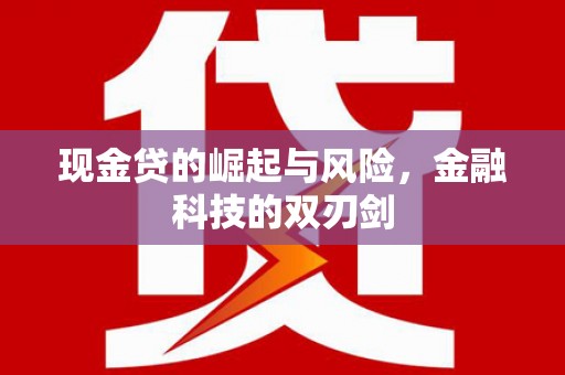 玛纳斯现金贷的崛起与风险，金融科技的双刃剑