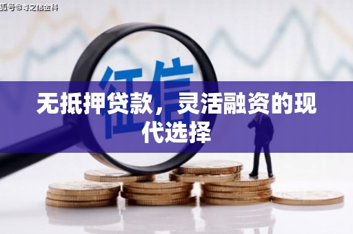 玛纳斯无抵押贷款，灵活融资的现代选择