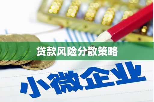 玛纳斯贷款风险分散策略