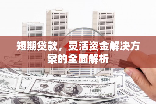 玛纳斯短期贷款，灵活资金解决方案的全面解析