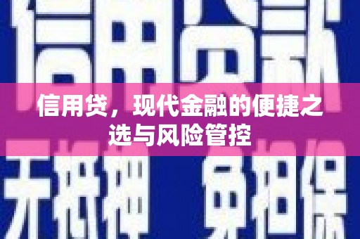 玛纳斯信用贷，现代金融的便捷之选与风险管控