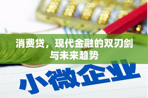 玛纳斯消费贷，现代金融的双刃剑与未来趋势