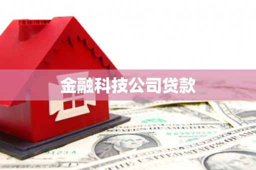 玛纳斯金融科技公司贷款