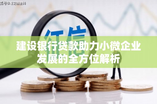 玛纳斯建设银行贷款助力小微企业发展的全方位解析
