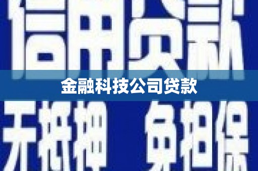 玛纳斯金融科技公司贷款