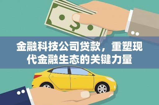 玛纳斯金融科技公司贷款，重塑现代金融生态的关键力量