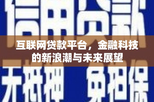 玛纳斯互联网贷款平台，金融科技的新浪潮与未来展望
