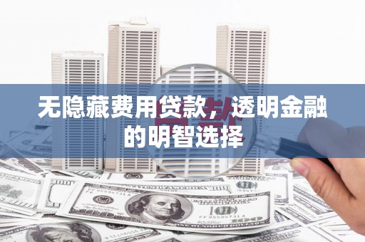 玛纳斯无隐藏费用贷款，透明金融的明智选择