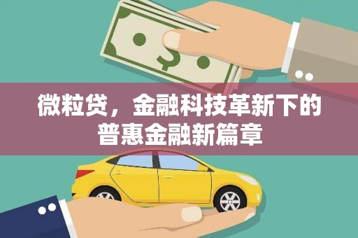 玛纳斯微粒贷，金融科技革新下的普惠金融新篇章