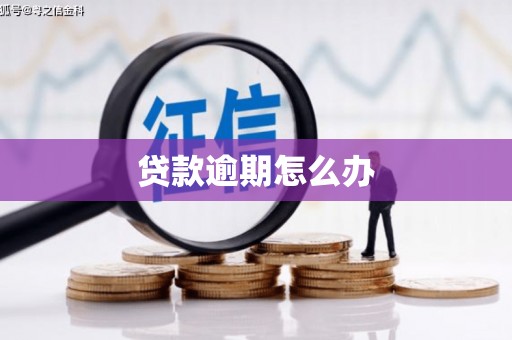 玛纳斯贷款逾期怎么办