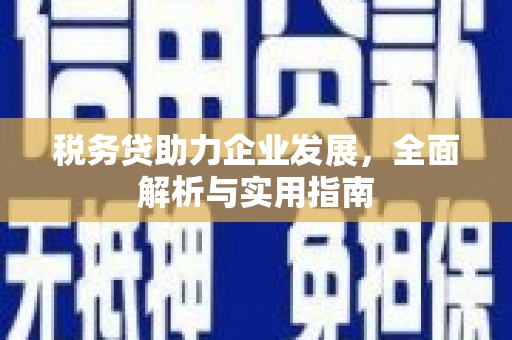 玛纳斯税务贷助力企业发展，全面解析与实用指南