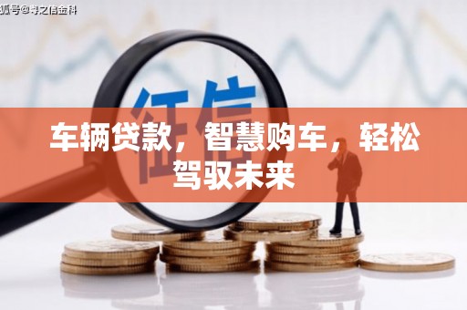 玛纳斯车辆贷款，智慧购车，轻松驾驭未来