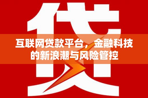 玛纳斯互联网贷款平台，金融科技的新浪潮与风险管控
