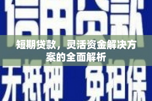 玛纳斯短期贷款，灵活资金解决方案的全面解析