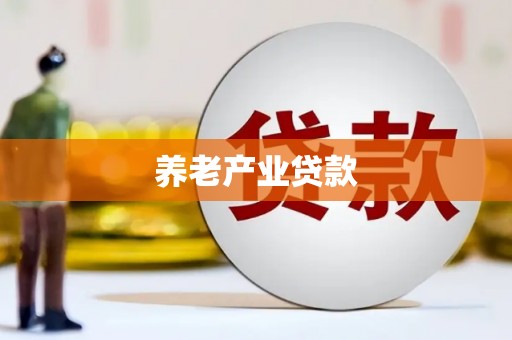 玛纳斯养老产业贷款
