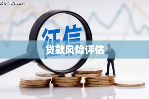 玛纳斯贷款风险评估