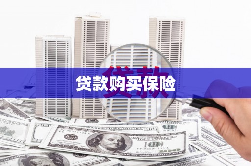 玛纳斯贷款购买保险