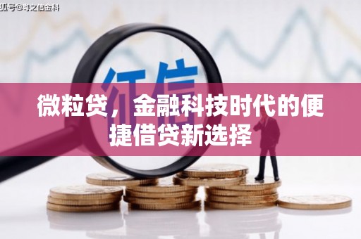 玛纳斯微粒贷，金融科技时代的便捷借贷新选择