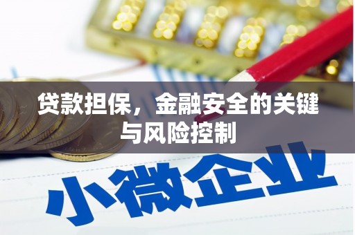 玛纳斯贷款担保，金融安全的关键与风险控制