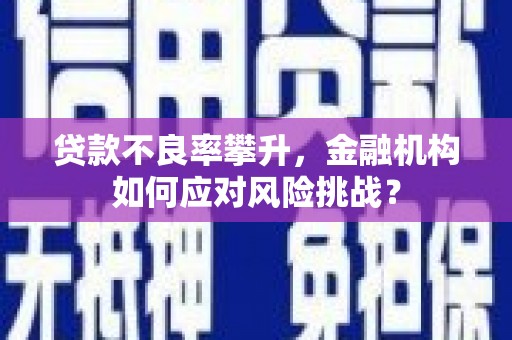 玛纳斯贷款不良率攀升，金融机构如何应对风险挑战？