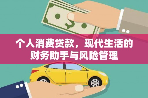 玛纳斯个人消费贷款，现代生活的财务助手与风险管理