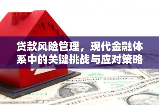 玛纳斯贷款风险管理，现代金融体系中的关键挑战与应对策略