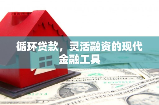 玛纳斯循环贷款，灵活融资的现代金融工具