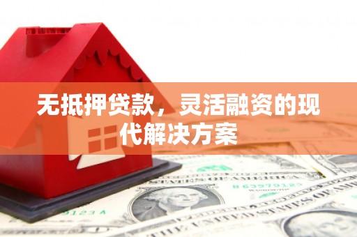 玛纳斯无抵押贷款，灵活融资的现代解决方案