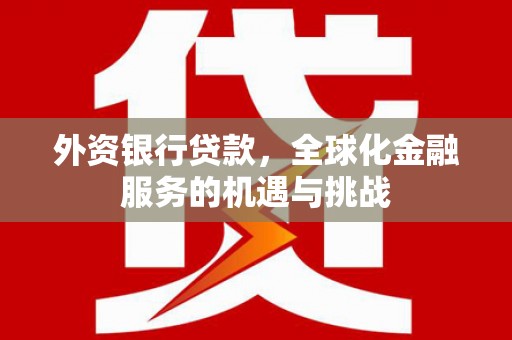 玛纳斯外资银行贷款，全球化金融服务的机遇与挑战