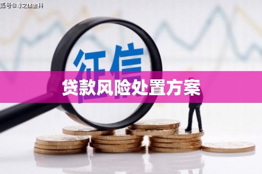 玛纳斯贷款风险处置方案