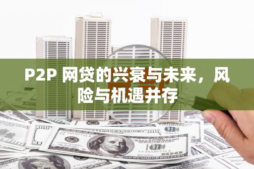 玛纳斯P2P 网贷的兴衰与未来，风险与机遇并存