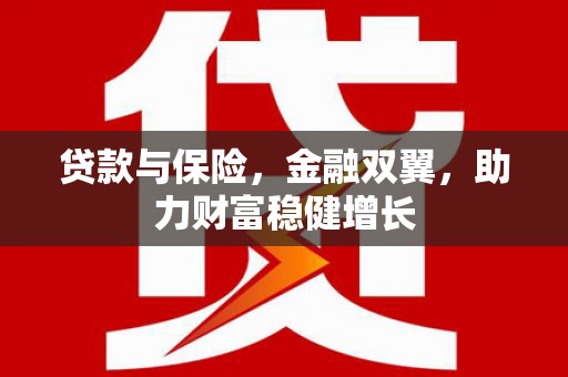 玛纳斯贷款与保险，金融双翼，助力财富稳健增长